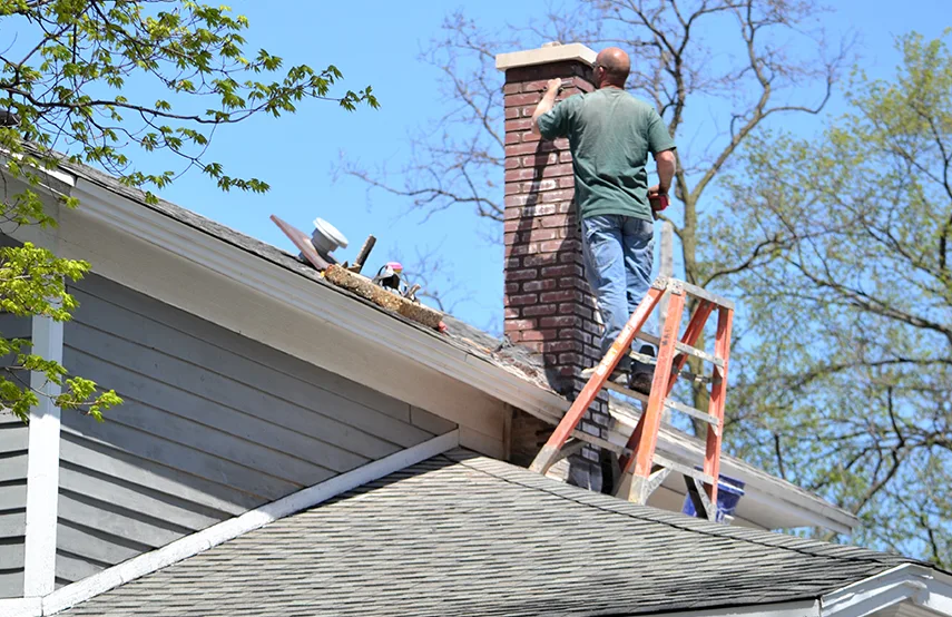 Chimney & Fireplace Inspections Services in Bristol, VA
